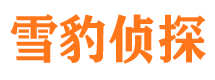 布拖侦探公司